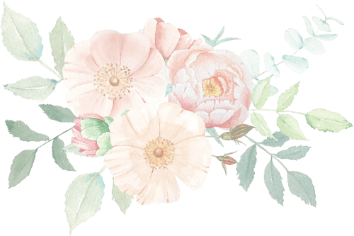 花イラスト